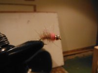 DSCF0320.jpg