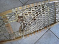 snowshoe emerger.jpg