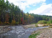 Confluence_of_east_and_west_branches_of_Neversink_River.jpg