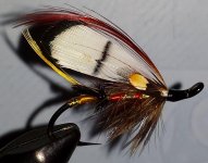 20140302_194548 (2).jpg