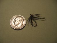 Image00001.jpg