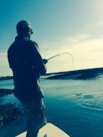 Redfish 2.jpg Redfish 2.jpg