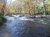 Musky Gorge on cell phone - fall colors.jpg