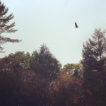 photo 2 (6).JPG photo 2 (6).JPG