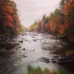 photo 1 (7).jpg photo 1 (7).jpg