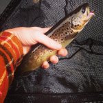 photo 1 (8).jpg photo 1 (8).jpg