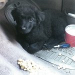 photo 2 (9).JPG photo 2 (9).JPG