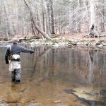 photo 4 (3).JPG photo 4 (3).JPG