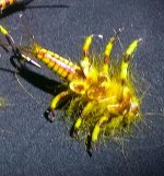IMAG0531_1_1.jpg