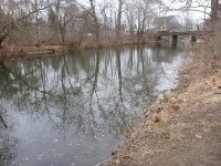 Bushkill bridge pool looking up resized.jpg