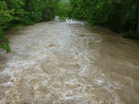 Looking up from bridge in high water.jpg
