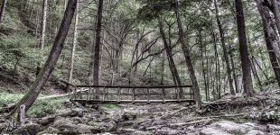 delaware water gap - Dunfield Creek.jpg