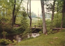 SuckerBrook.jpg