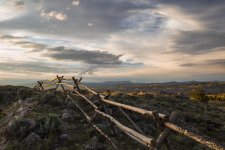 fence2.jpg