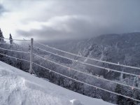 cold.jpg