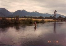 Armstrong Creek & Paradise Valley.jpg