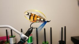 Salmon1_zps8cceeheu.jpg