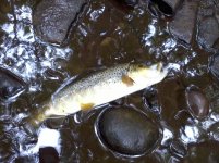 Photo650.jpg Photo650.jpg