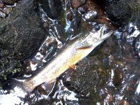 Photo651.jpg Photo651.jpg