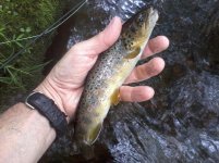 Photo653.jpg Photo653.jpg