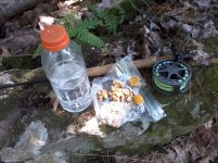 Photo656.jpg Photo656.jpg