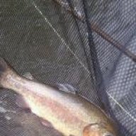 Fishinator | North Eastern Fly Fishing
