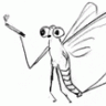 spawnfly