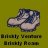 briansnat