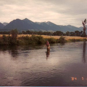 Armstrong Creek & Paradise Valley.jpg