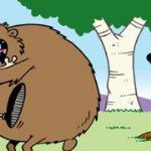 Bear vs Bear Spray.jpg